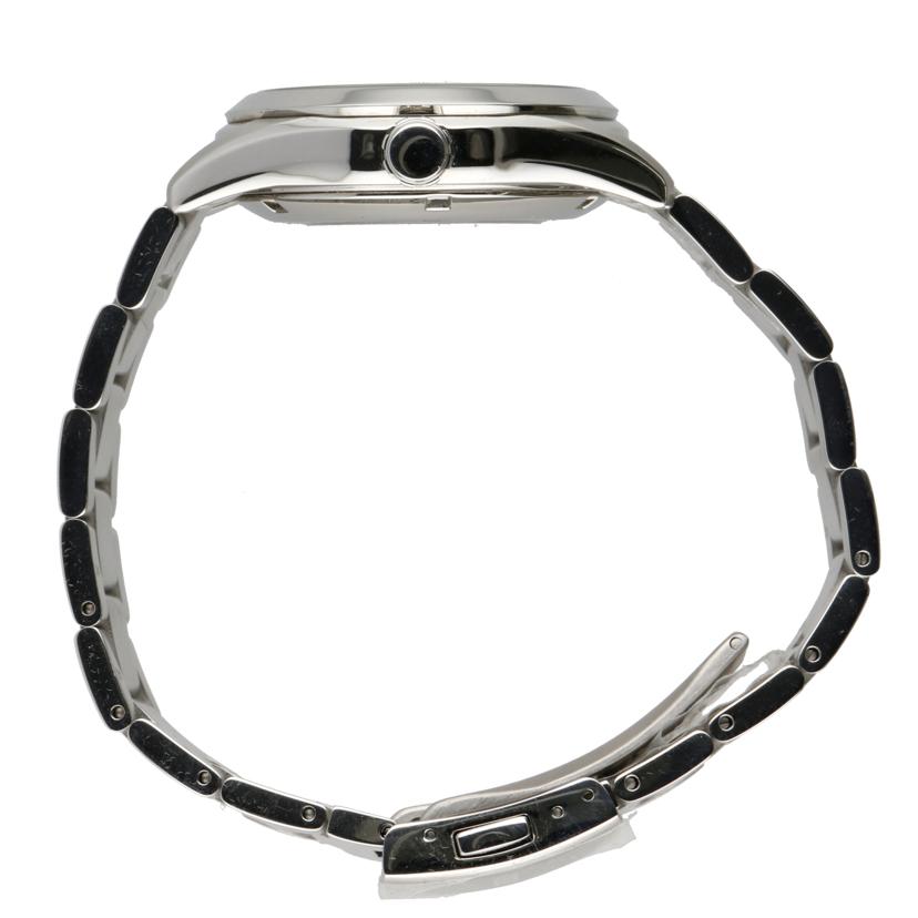 SEIKO セイコー/プロスペックス・アルピニスト/メンズ/自動巻/SBDC115//066***/SAランク/24