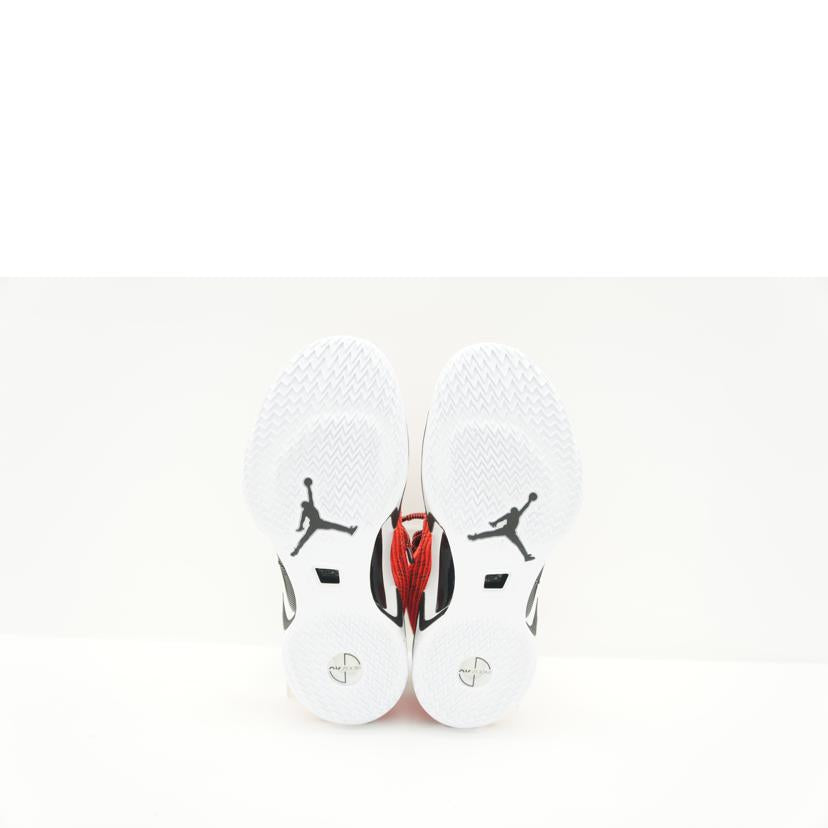 NIKE NIKE/AIR JORDAN 36 GS/DA9054-660//00195866158405/Aランク/85