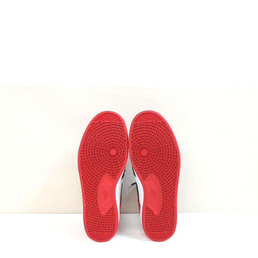 NIKE ナイキ/SB アリウープ/CJ0882-102//BCランク/71