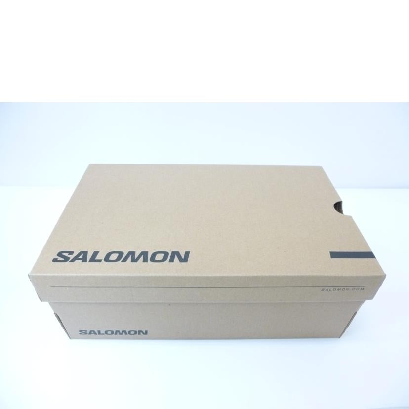 SALOMON サロモン/XT-6/グレー/474448//ABランク/88