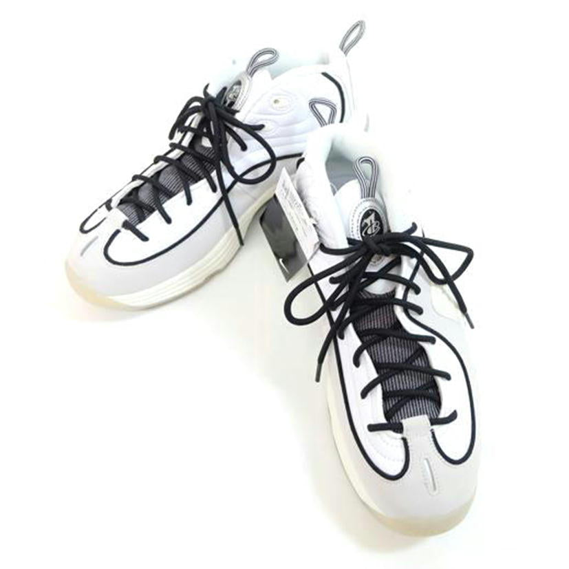 NIKE ナイキ/AIR PENNYⅡ/FB7727-100//SAランク/71