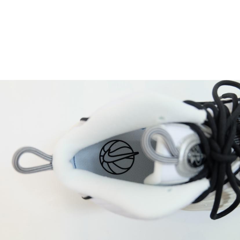 NIKE ナイキ/AIR PENNYⅡ/FB7727-100//SAランク/71