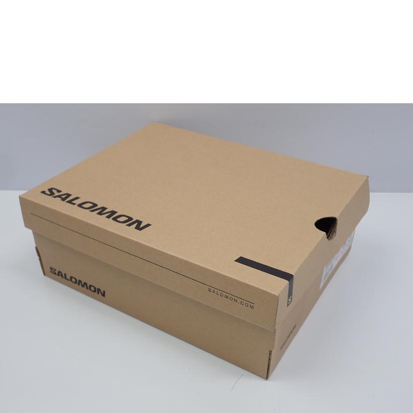 SALOMON サロモン/X WARD LEATER MID GTX/471818 29//26.5cm/Sランク/62