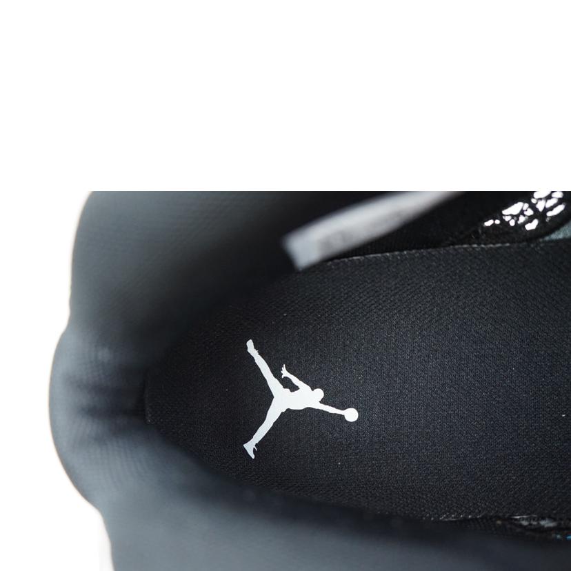 NIKE ナイキ/NIKE AIR JORDAN XXXVII PF 28.5/DZ3355-001//Aランク/67