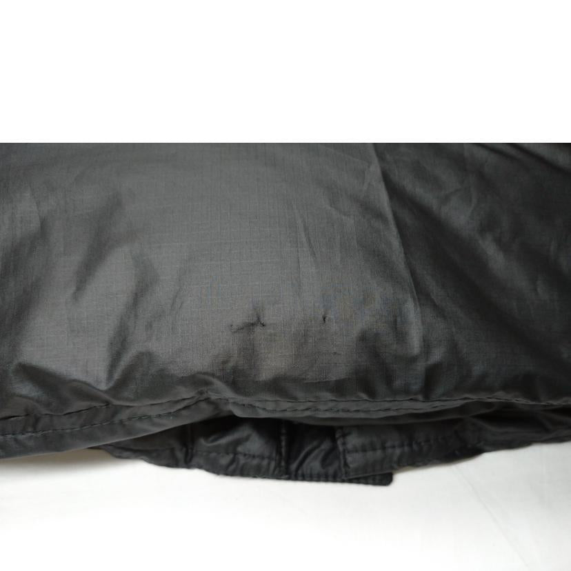 patagonia パタゴニア/ダウンジャケット 01/09//ABランク/52