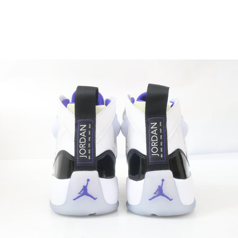 NIKE ナイキ/エアジョーダン ジャンプマン ツー AIR JORDAN JUMPMAN TWO 28.0cm ホワイト系/DO1925-100//Aランク/65