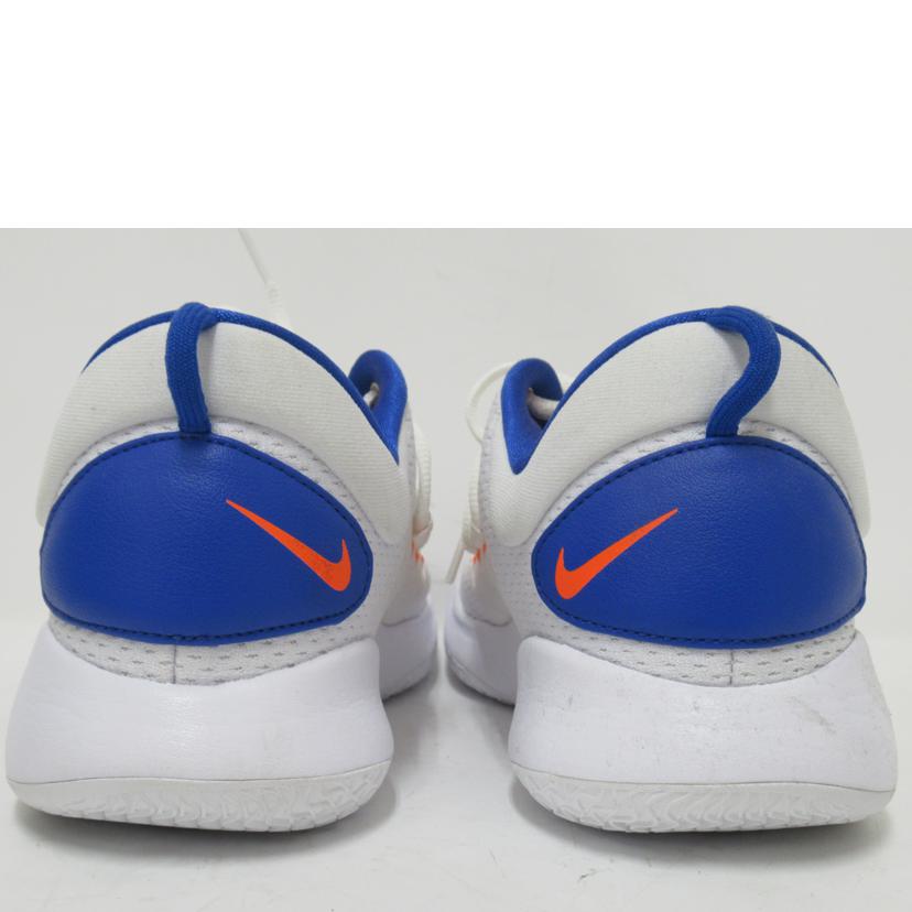 NIKE/HYPER DUNK X LOW EP "Knicks"/FB7163-181//Aランク/63