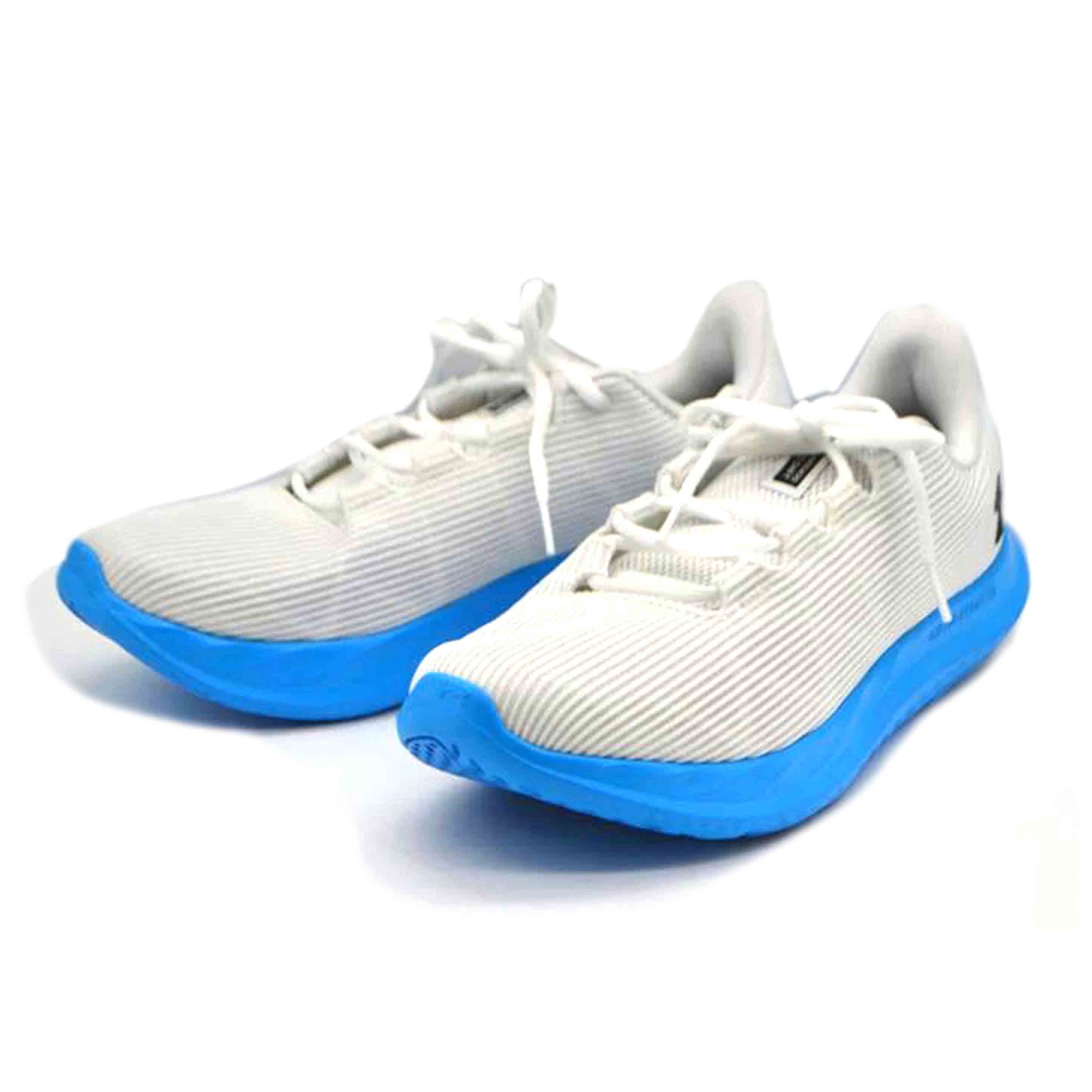 UNDER ARRNOUR アンダーアーマー/チャージスピードスイフトシューズ/28.0cm/3026999-108//Sランク/89