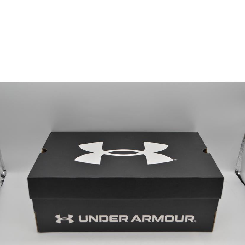 UNDER ARRNOUR アンダーアーマー/チャージスピードスイフトシューズ/28.0cm/3026999-108//Sランク/89