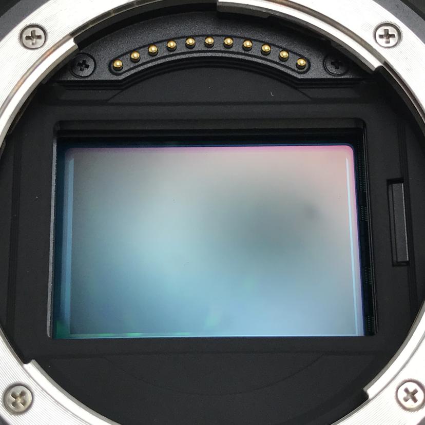 Nikon ニコン/ミラーレス一眼/Z6//2003331/Bランク/51