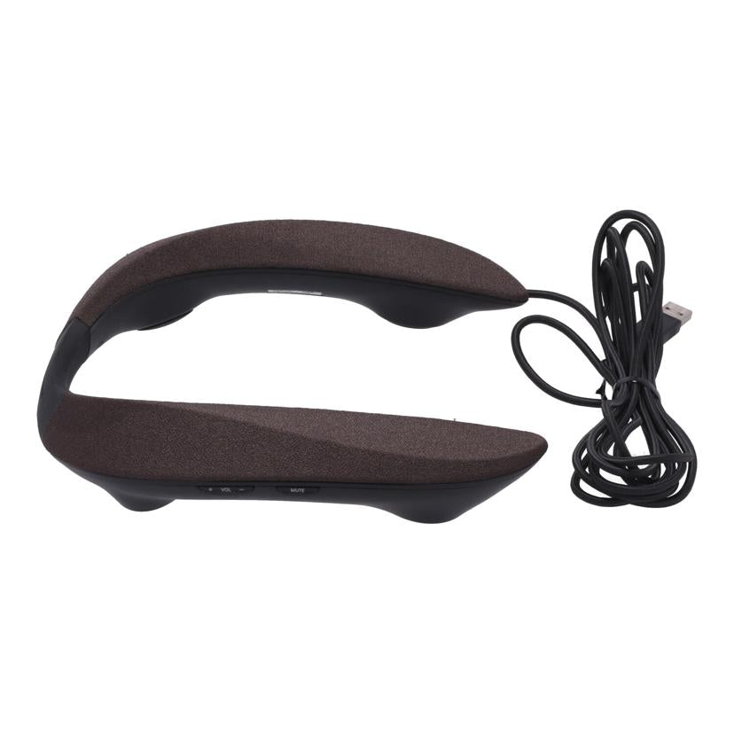 Panasonic パナソニック /ネックスピーカー/SC-GN01 //VB1LA001150/Bランク/65