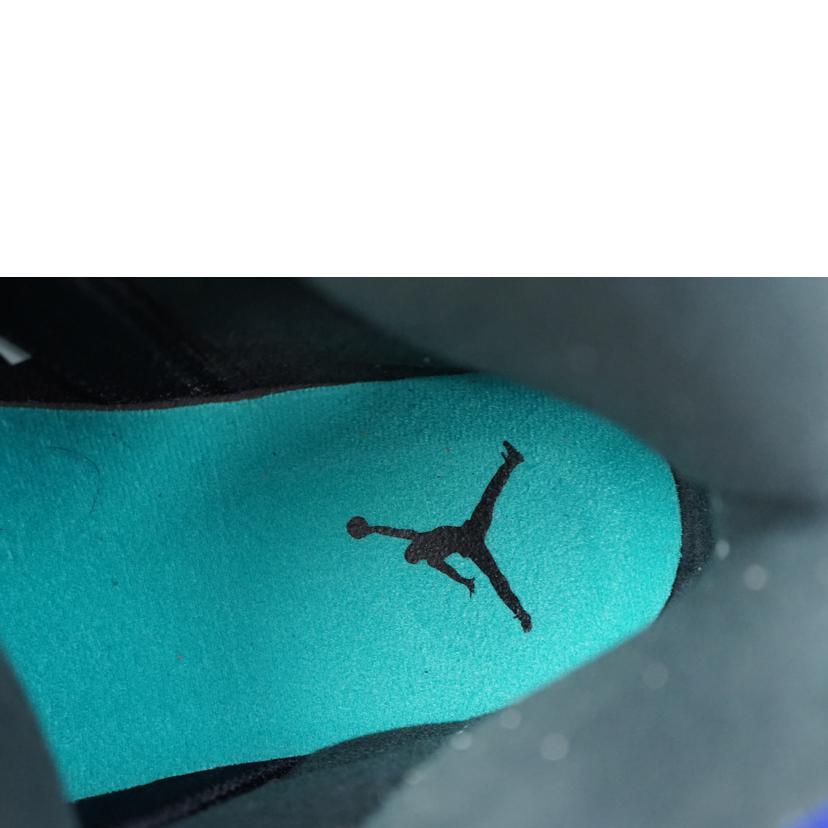 NIKE ナイキ/NIKE AIR JORDAN 5 RETRO 28.0/136027-500//Aランク/67