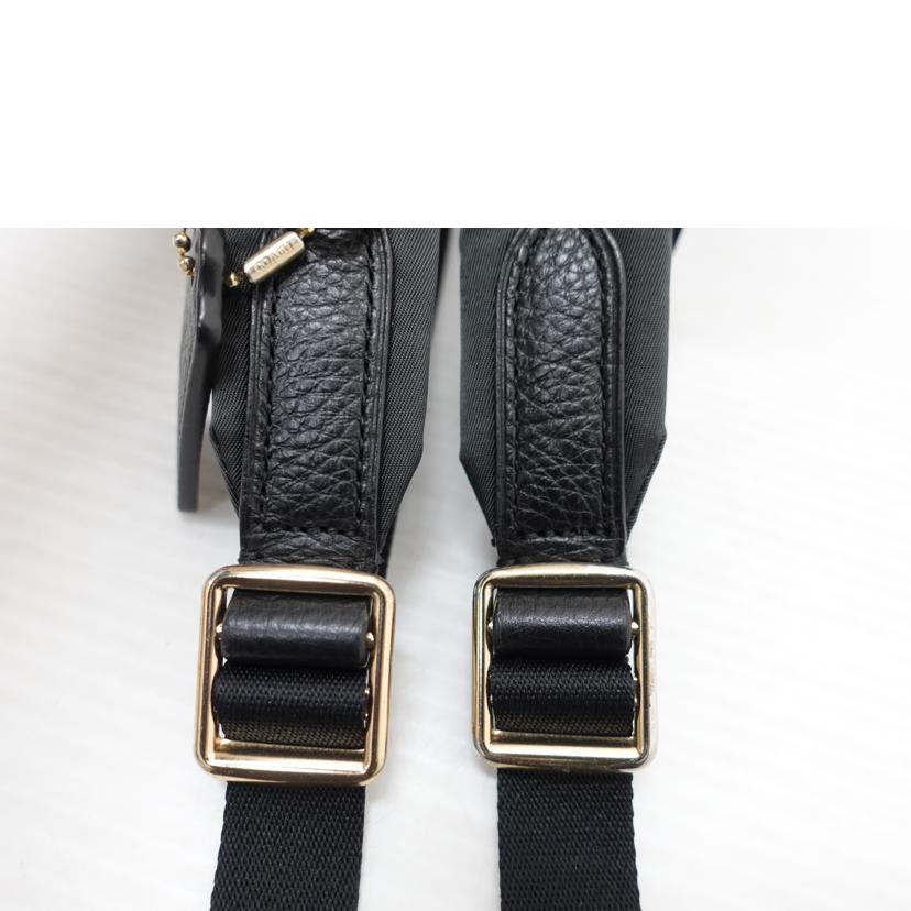 COACH コーチ/ペブルレザーミニチャーリーバックパック/F28995//F18**/Bランク/88