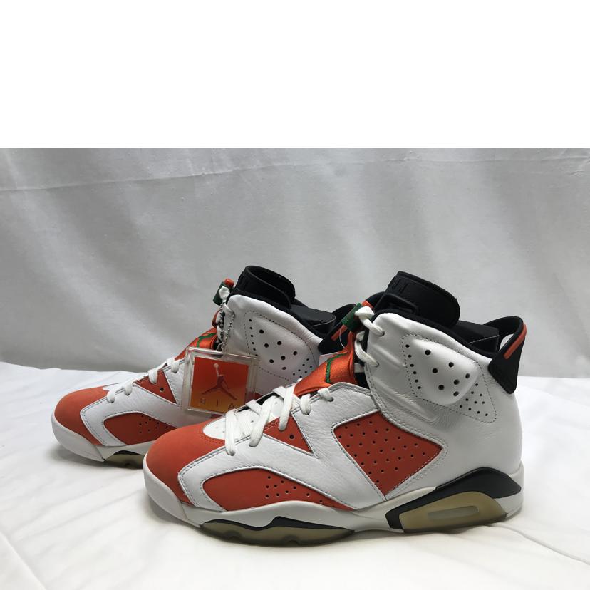NIKE ナイキ/AIR JORDAN 6 RETRO GATORADE/384664-145//Sランク/51