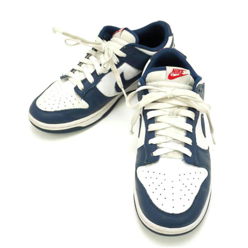 NIKE ナイキ/NIKE DUNK LOW RETRO/DD1391-400//ABランク/69