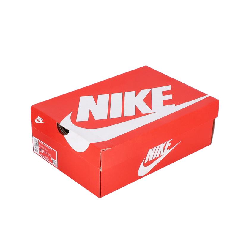 NIKE ナイキ/NIKE DUNK LOW RETRO BTTYS /DV0833-300//ABランク/70
