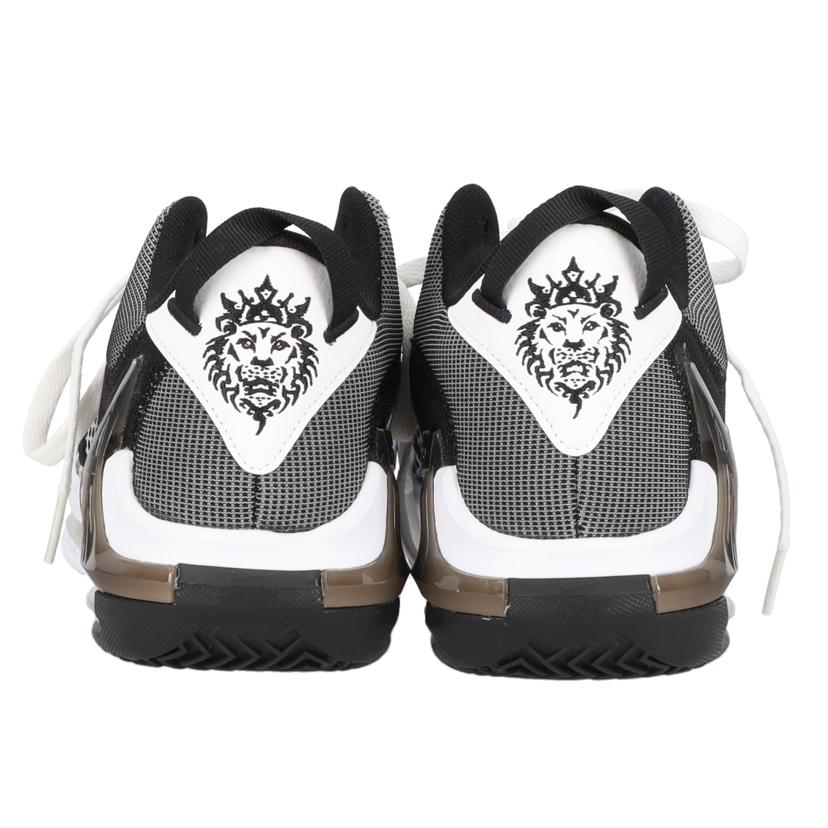 NIKE ナイキ/LEBRON WITNESS Ⅶ EP/DM1122-100//サイズ26cm/SAランク/03
