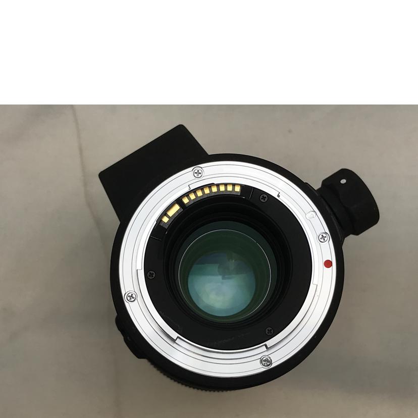 SIGMA シグマ/ズームレンズ/100-300mm1:4 HSM//5025738/ABランク/51