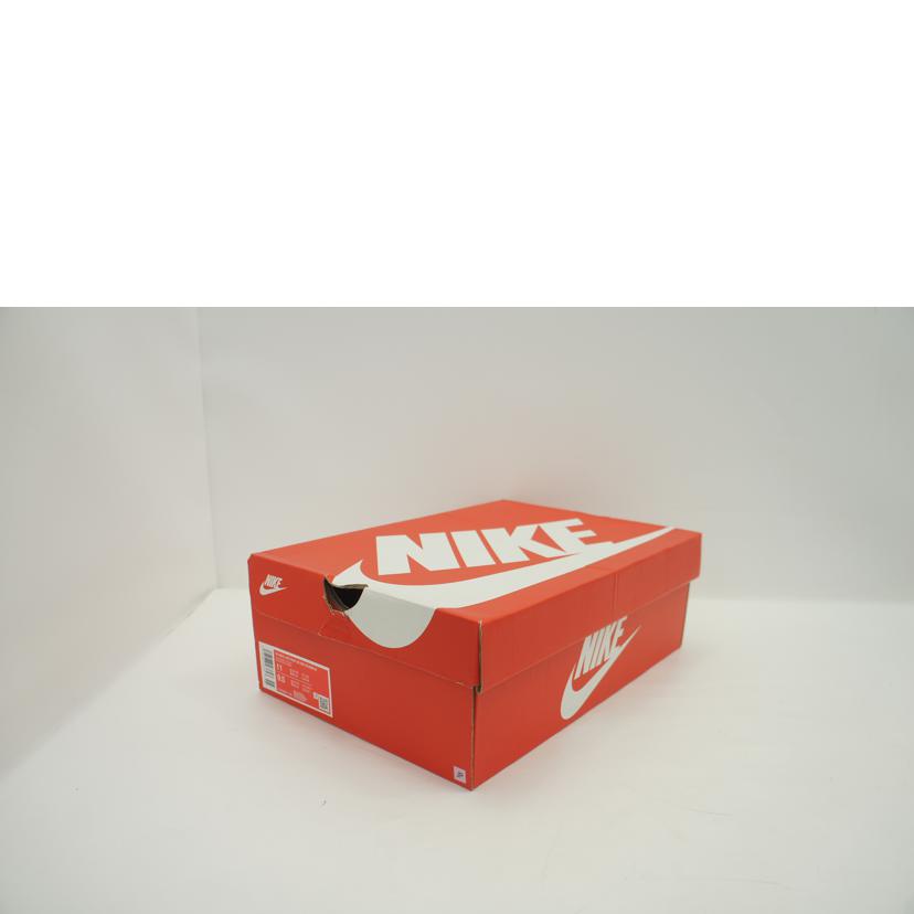 NIKE ナイキ/NIKE AIR MAX 95 BIG BUBBLE/HJ5996-100//27.0cm/ABランク/62