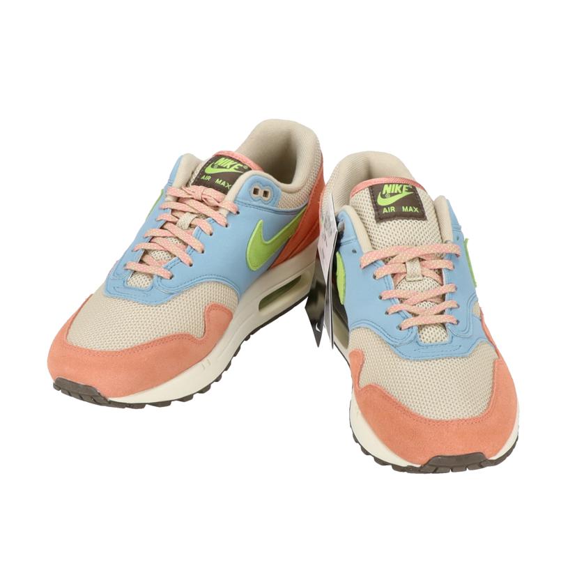 NIKE ナイキ/AIR MAX 1/DV3196-800//00195870886622/Aランク/85