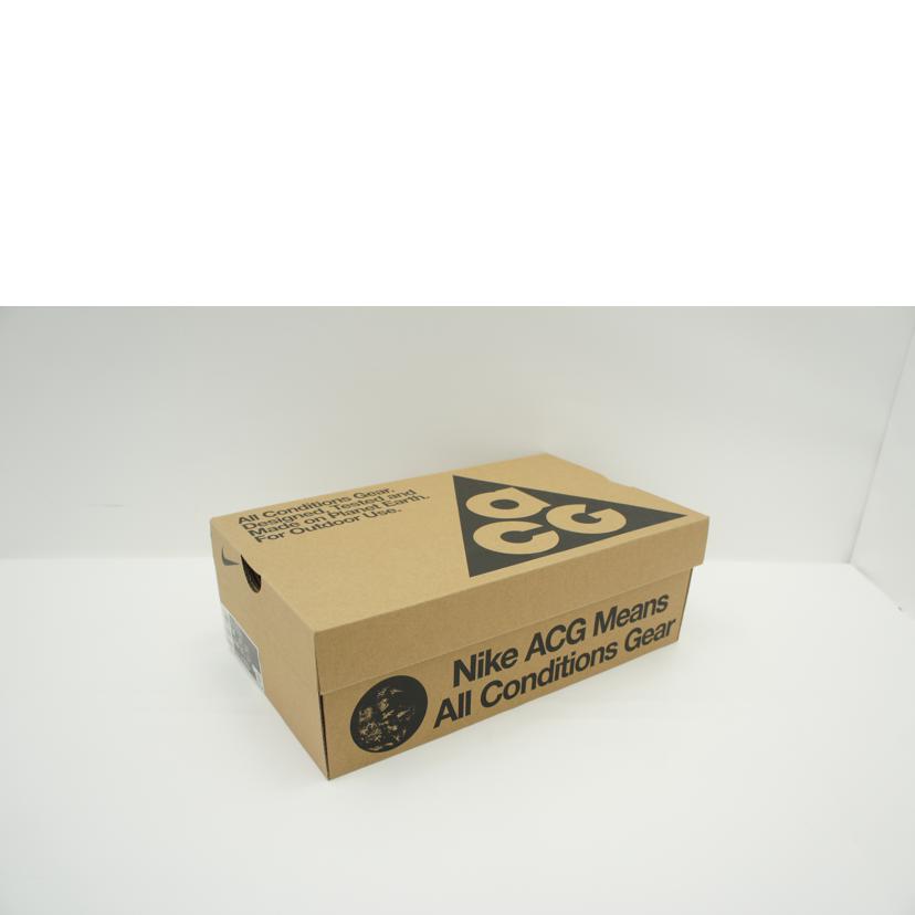 NIKE ナイキ/ACG WATERCAT+/CZ0931 500//Aランク/42