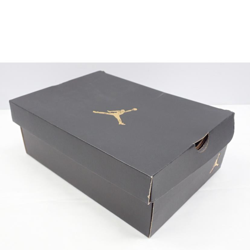 NIKE ナイキ/AIR JORDAN I MID SE/DR 6957-100//25.0cm/Aランク/62