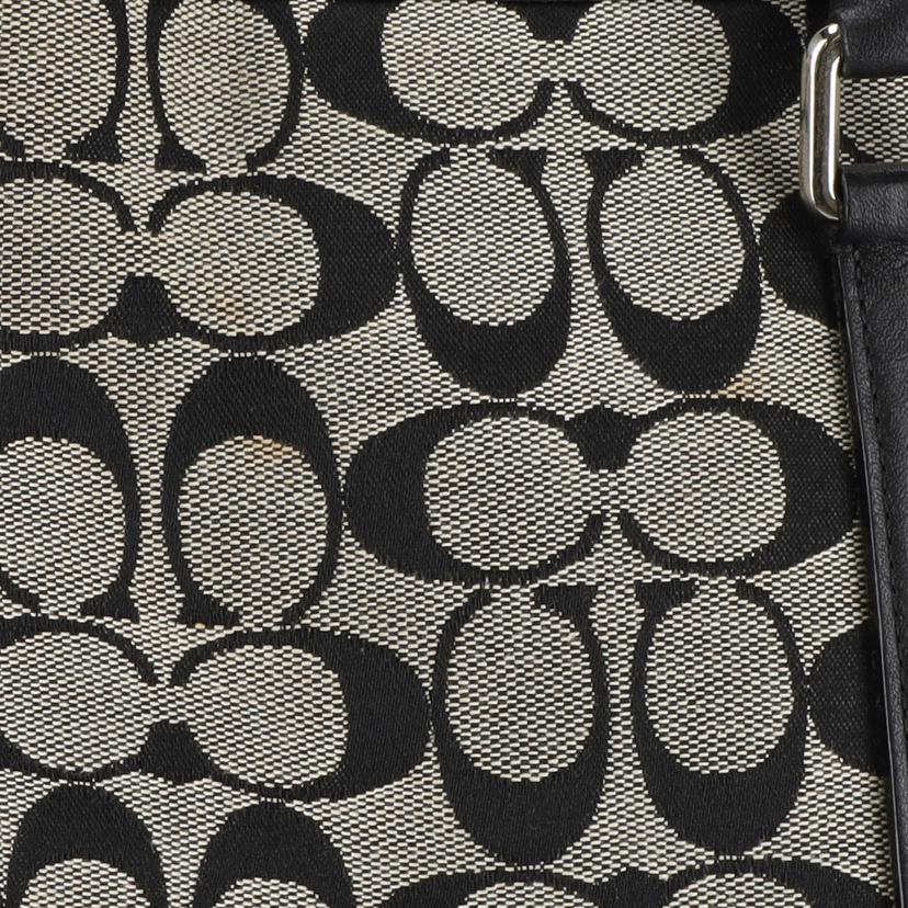 COACH コーチ/シグネチャーキャリーオール/トートバッグ/6086//D2J/ABランク/18