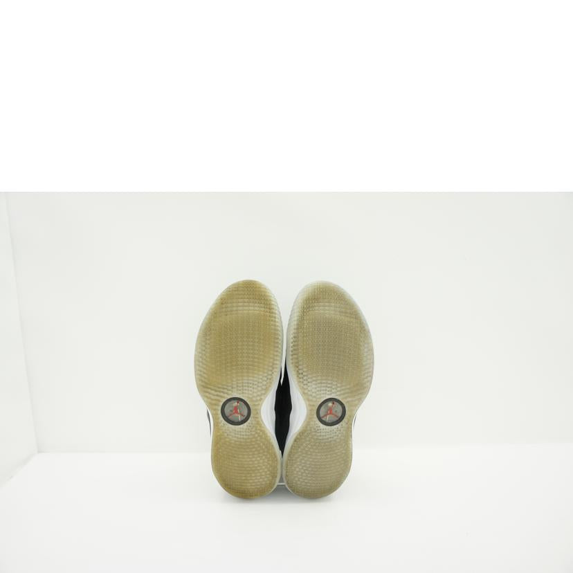 NIKE ナイキ/AIR JORDAN 33 SE PF/CD9561-006//ABランク/19