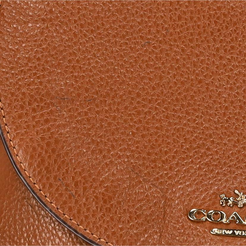 COACH コーチ/ペブルドレザービリーバックパック/F37410//M16**/Aランク/18