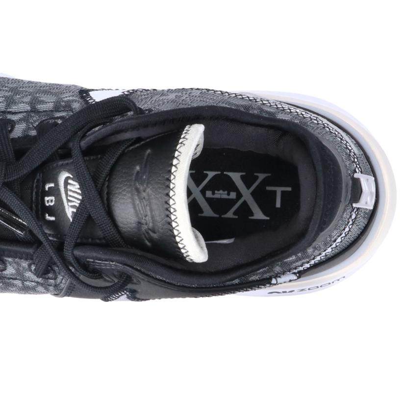 NIKE ナイキ/Air ZOOM LEBRON NXXT GEN EP /DR8788-005//サイズ26.5cm/ABランク/03