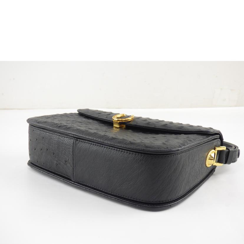 kleinkaroo クラインカルー/オーストリッチバッグ・小銭入れセット//ABランク/64