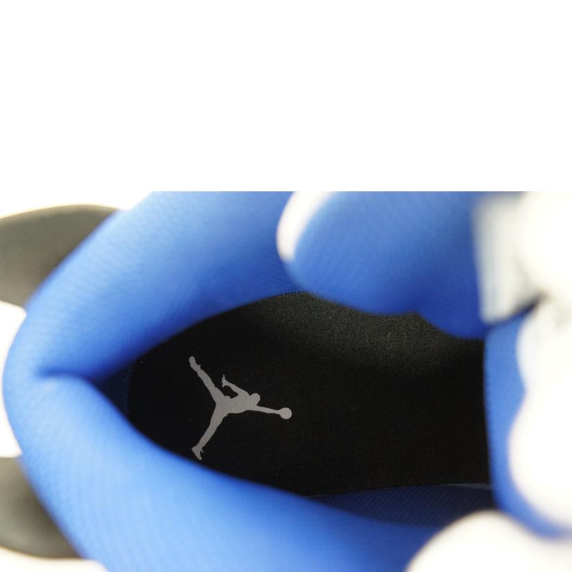 NIKE ナイキ/NIKE AIR JORDAN DUB ZERO/311046-140//Aランク/64