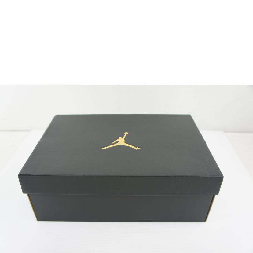 NIKE ナイキ/NIKE AIR JORDAN DUB ZERO/311046-140//Aランク/64