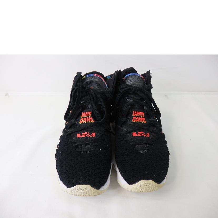 NIKE ナイキ/NIKE LEBRON XVII /BQ3177-005//BCランク/84