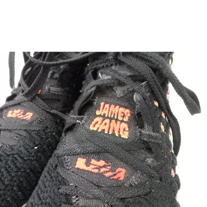 NIKE ナイキ/NIKE LEBRON XVII /BQ3177-005//BCランク/84