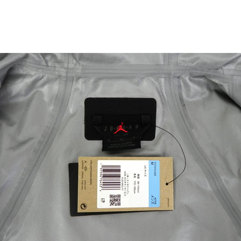 NIKE ナイキ/AIR JORDAN GORE-TEX メンズジャケット/FV7215-045//SAランク/81