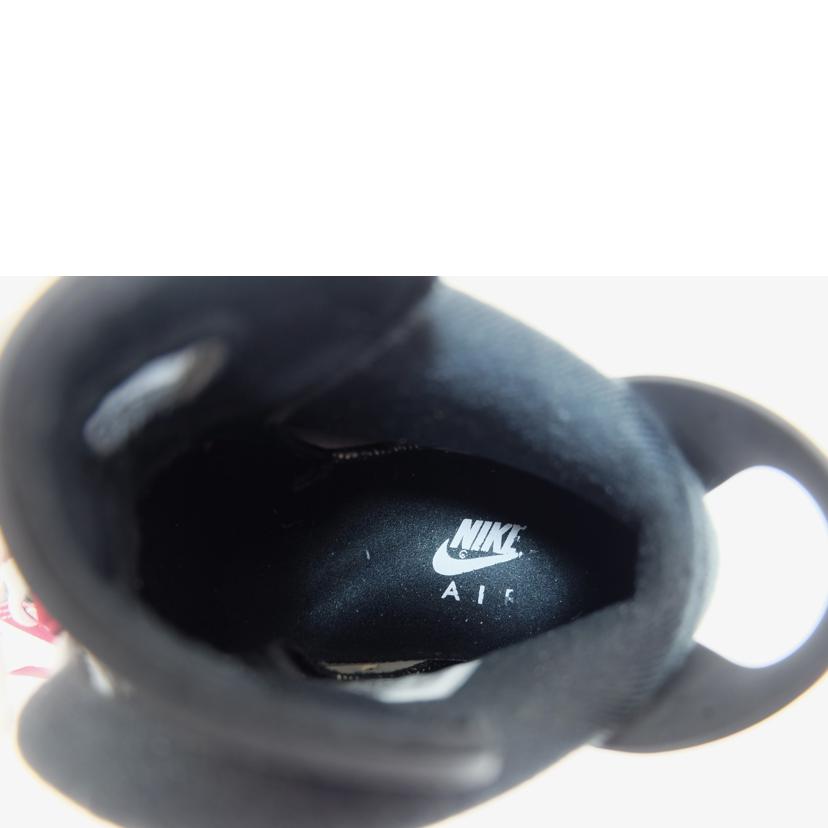 NIKE ナイキ/AIR JORDAN6 RETRO/CT8259-106//Bランク/71