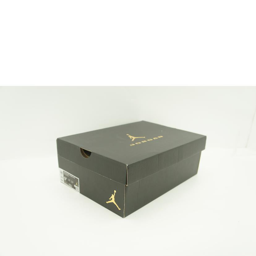 NIKE ナイキ/JORDAN COURT CONNECT MID/IQ5685-101//ABランク/20