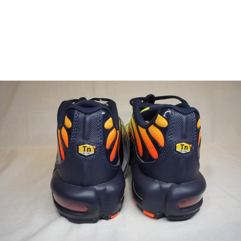 NIKE/AIR MAX PLUS エアマックスプラス/DM0032-701//SAランク/92