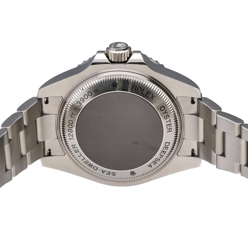 ROLEX ロレックス/シードゥエラー・ディープシー・ブラック/V番/116660//V76****/SAランク/75