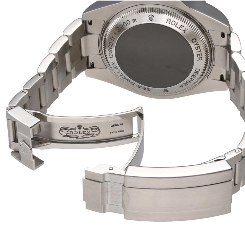 ROLEX ロレックス/シードゥエラー・ディープシー・ブラック/V番/116660//V76****/SAランク/75