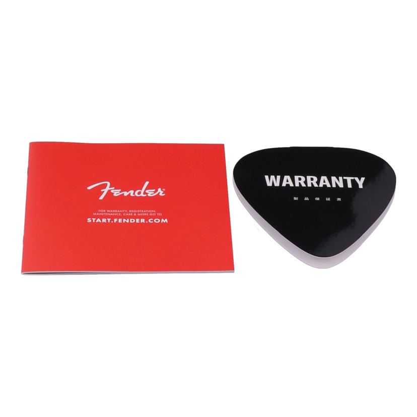 FENDER MIJ フェンダー エムアイジェイ/エレキギター/LTD TELE MN BLACK PAISLEY JP-25//JD25018580/Aランク/75