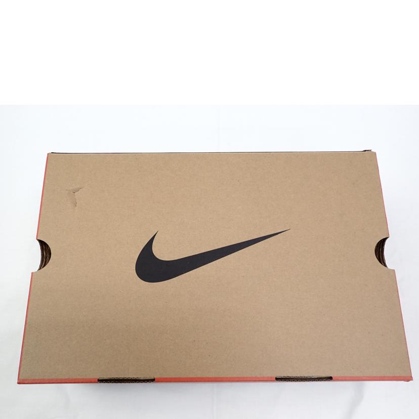 NIKE ナイキ/NIKE AIR MAX SNDR GTX/FZ4238-001//27.5cm/ABランク/62