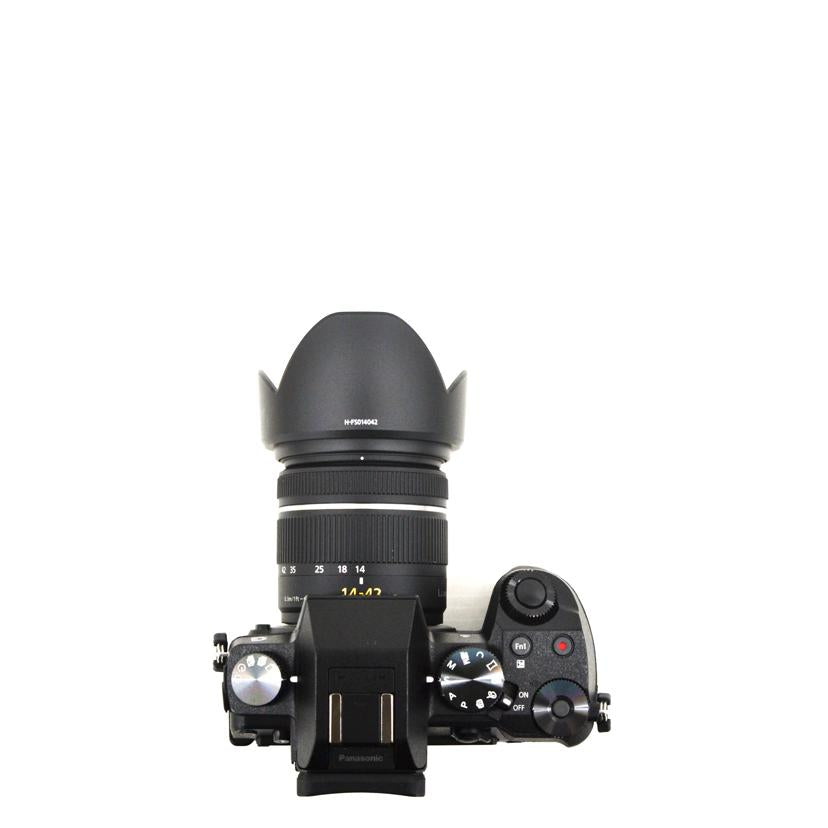 LUMIX/ミラーレス一眼/DMC-G7 G14-42㎜//WE5FA001095/ABランク/75