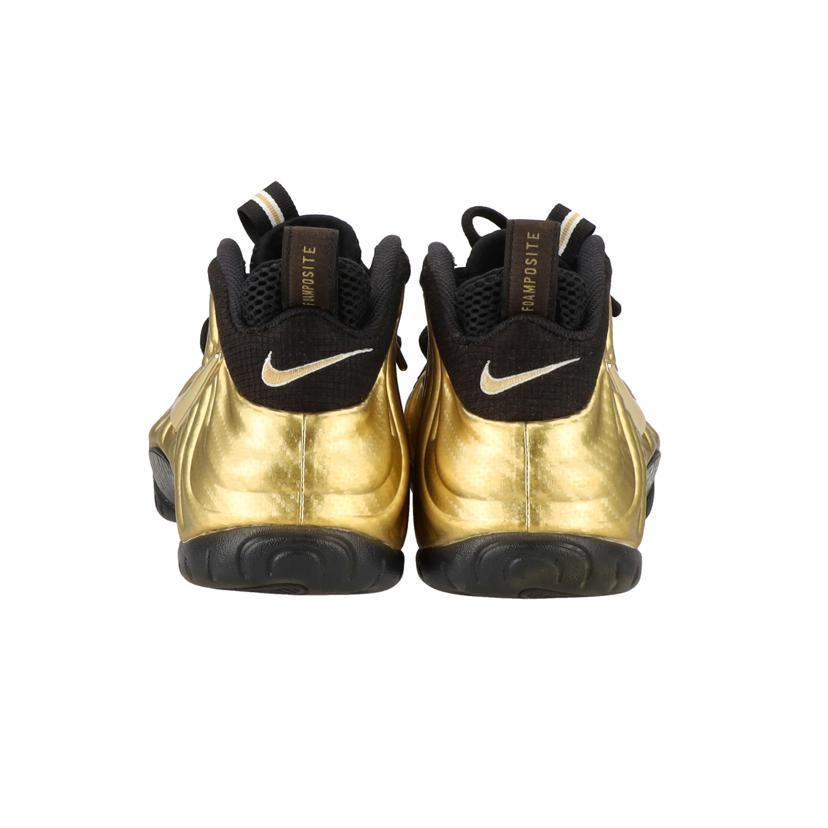 NIKE ナイキ/エアフォームポジット プロ/624041-701//00659658576421/ABランク/85