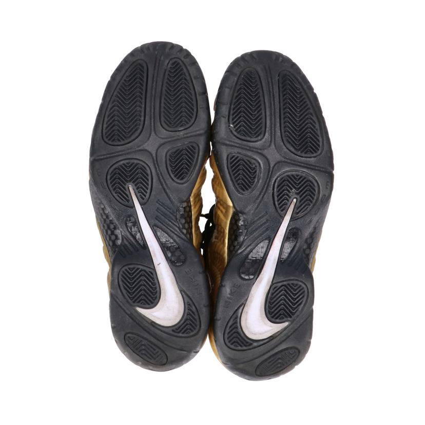 NIKE ナイキ/エアフォームポジット プロ/624041-701//00659658576421/ABランク/85