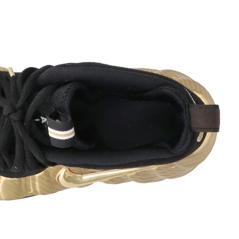 NIKE ナイキ/エアフォームポジット プロ/624041-701//00659658576421/ABランク/85