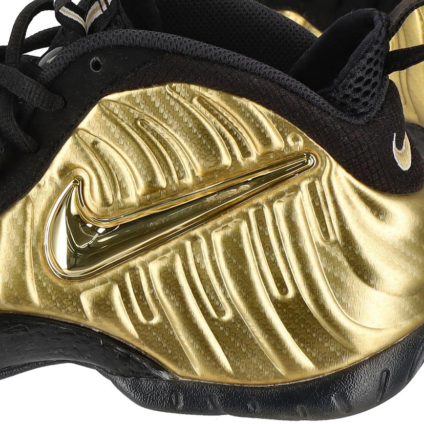 NIKE ナイキ/エアフォームポジット プロ/624041-701//00659658576421/ABランク/85