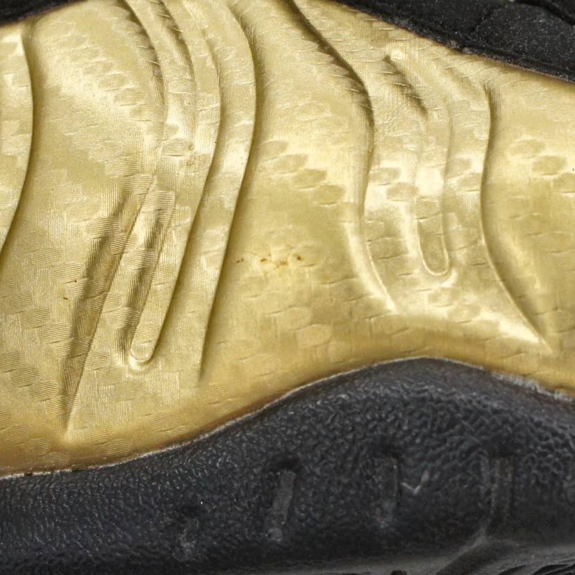 NIKE ナイキ/エアフォームポジット プロ/624041-701//00659658576421/ABランク/85