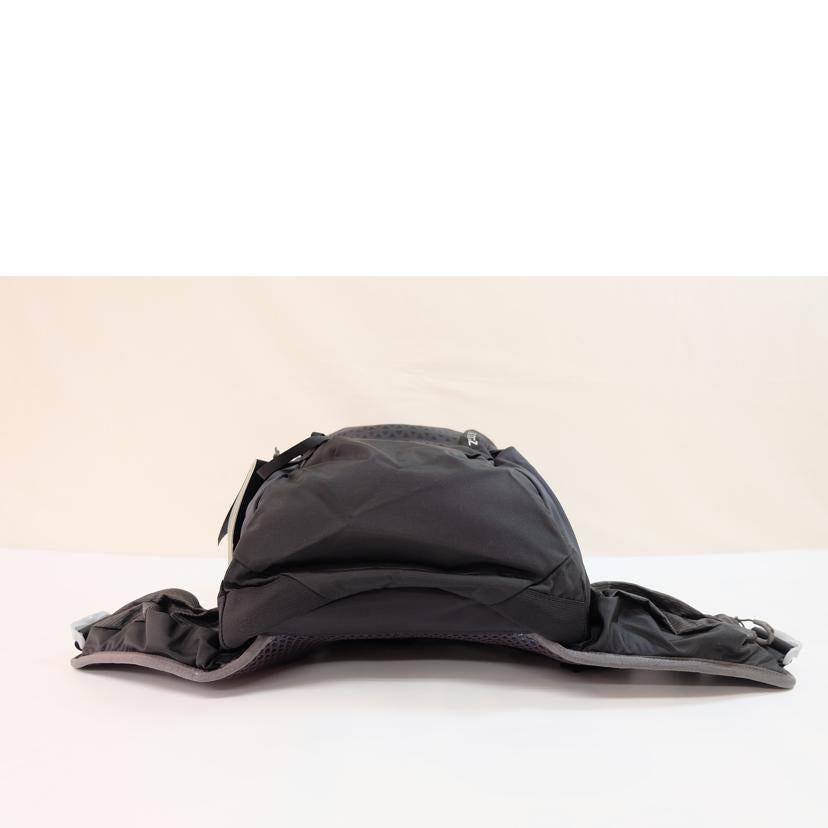 GREGORY グレゴリー/ZULU30 MD/LG/11580・7416//-/Aランク/71